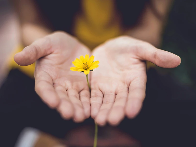 Stressabbau & emotionale Balance